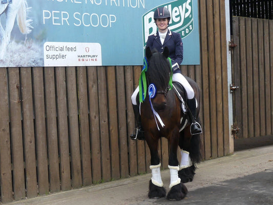 Happy Hacker To Dressage Superstar